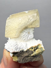 Load image into Gallery viewer, Rare Druzy Golden “Diamond” Calcite on Zeolite Matrix — Maharashtra, India | Collector Cabinet Specimen
