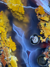 Load image into Gallery viewer, MUSEUM Turkish Agate with Intriguing Inclusions – Great Sticks, Banding and Eyes - Turkey
