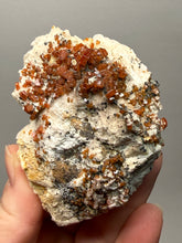 Load image into Gallery viewer, Natural Vanadinite on Matrix | Collector Mineral Specimen | Morocco
