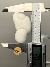 Load image into Gallery viewer, Chichaoua Menalite “Fairy Stone” Concretion | Natural Collector Display Specimen | Morocco
