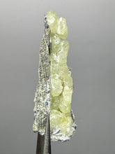 Load image into Gallery viewer, Vibrant Yellow Brucite Thumbnail Mineral Specimen | Collector Crystal from Killa Saifullah District in Balochistan Province, Pakistan
