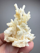 Load image into Gallery viewer, High-Grade Coral Aragonite Crystal Specimen – Wenshan Mine, Yunnan, China
