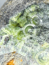 Load image into Gallery viewer, High-Grade Green Wavellite Collectors Specimen - Radiating Botryoidal Crystal Formation - Arkansas, USA
