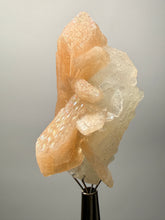 Load image into Gallery viewer, High-Grade Apophyllite on Pink Stilbite Zeolite | Indian Collector Mineral Specimen
