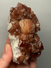 Load image into Gallery viewer, Rare Red Apophyllite + Druzy Red Stilbite Flowers — Deccan Traps, India
