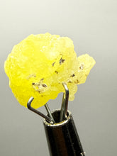 Load image into Gallery viewer, Vibrant Yellow Brucite Thumbnail Mineral Specimen | Collector Crystal from Killa Saifullah District in Balochistan Province, Pakistan
