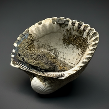 Load image into Gallery viewer, Bivalve (Pelecypoda) Fossil Sea Shell with Chalcopyrite | Mineralized Fossil Specimen | Indonesia
