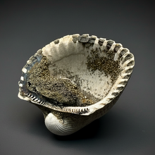 Load image into Gallery viewer, Bivalve (Pelecypoda) Fossil Sea Shell with Chalcopyrite | Mineralized Fossil Specimen | Indonesia

