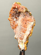 Load image into Gallery viewer, “Goblin Chalcedony” Pink &amp; Orange Druzy Botryoidal Stalactites— Tichka Massif, High Atlas, Morocco
