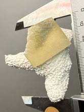 Load image into Gallery viewer, Rare Druzy Golden “Diamond” Calcite on Zeolite Matrix — Maharashtra, India | Collector Cabinet Specimen
