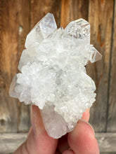 Load image into Gallery viewer, Clear Gem Apophyllite + Apophyllite Flower Stalactites • Maharashtra, India
