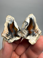 Load image into Gallery viewer, High-Grade Indonesian Sumatra Agate Pair – Vibrant Banded Chalcedony with Rich Color Zoning | Ethical Lapidary &amp; Collector Display Specimens
