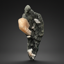 Load image into Gallery viewer, Pink Stilbite Druzy on Botryoidal Black Chalcedony | India | High-Grade Mineral Collector Specimen
