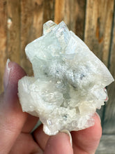 Load image into Gallery viewer, Light Mint Green Radial Apophyllite + White Stilbite • Maharashtra, India
