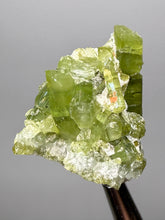 Load image into Gallery viewer, Lime Green Tourmaline on Matrix– Pegmatite Mineral Specimen from Pakistan
