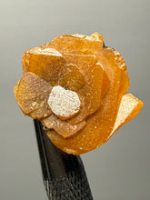 Load image into Gallery viewer, High-Grade Orange Wulfenite Collector Display Specimen | La Morita Mine, Chihuahua, Mexico
