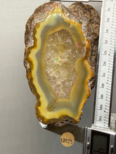 Load image into Gallery viewer, Premium Sumatra Agate  (Banded Chalcedony) Display Specimen | Indonesia
