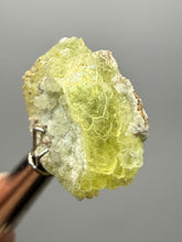 Load image into Gallery viewer, Vibrant Yellow Brucite Thumbnail Mineral Specimen | Collector Crystal from Killa Saifullah District in Balochistan Province, Pakistan
