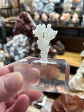 Load image into Gallery viewer, Aragonite Calcite Druzy Cave Stalactites
