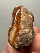 Load image into Gallery viewer, Premium Sumatra Agate (Banded Chalcedony) Display Specimen | Indonesia

