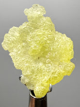 Load image into Gallery viewer, Vibrant Yellow Brucite Thumbnail Mineral Specimen | Collector Crystal from Killa Saifullah District in Balochistan Province, Pakistan

