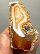 Load image into Gallery viewer, Premium Sumatra Agate (Banded Chalcedony) Display Specimen | Indonesia

