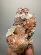 Load image into Gallery viewer, Rare Red + Green Apophyllite Crystal Cluster – High Grade Collector Mineral Specimen | India
