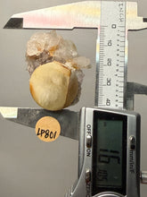 Load image into Gallery viewer, Rare Botryoidal Yellow Fluorite on Quartz Matrix  Collector Mineral Specimen – Maharashtra, India
