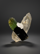 Load image into Gallery viewer, Dark Green Cap Stak Nala Tourmaline w Cleavelandite and Quartz Matrix – Haramosh Mountains, Pakistan
