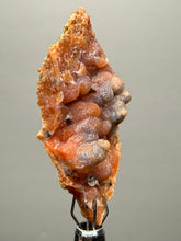 Load image into Gallery viewer, “Goblin Chalcedony” Pink &amp; Orange Druzy Botryoidal Stalactites— Tichka Massif, High Atlas, Morocco
