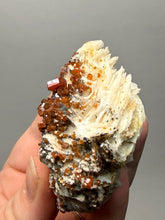 Load image into Gallery viewer, Natural Vanadinite on Matrix | Collector Mineral Specimen | Morocco
