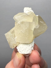 Load image into Gallery viewer, Rare Druzy Golden “Diamond” Calcite on Zeolite Matrix — Maharashtra, India | Collector Cabinet Specimen
