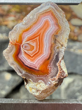 Load image into Gallery viewer, High-Grade Parallax Banded Laguna Agate – Bright Orange, Red, &amp; White Banding from Mexico
