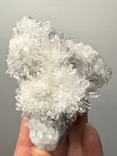 Load image into Gallery viewer, High-Grade Chrysanthemum Quartz (Needle Quartz) Spray Cluster | Jiangxi, China
