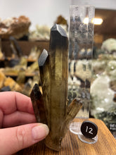 Load image into Gallery viewer, Smoky Citrine (Natural) • Madagascar
