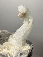 Load image into Gallery viewer, RARE COMBO Moroccan Ram’s Horn Selenite (Gypsum) with Yellow Botryoidal Fluorite Display Specimen
