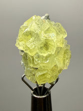 Load image into Gallery viewer, Vibrant Yellow Brucite Thumbnail Mineral Specimen | Collector Crystal from Killa Saifullah District in Balochistan Province, Pakistan
