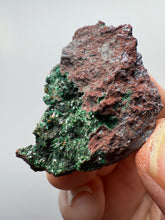Load image into Gallery viewer, Brochantite Collector Mineral Specimen – Vivid Green Copper Crystals from Morocco
