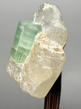 Load image into Gallery viewer, Mint Green Tourmaline on Quartz Matrix– Pegmatite Mineral Specimen from Pakistan
