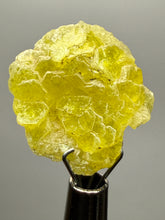 Load image into Gallery viewer, Vibrant Yellow Brucite Thumbnail Mineral Specimen | Collector Crystal from Killa Saifullah District in Balochistan Province, Pakistan
