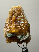Load image into Gallery viewer, Hessonite Garnet Cluster on Matrix – Natural Collector Specimen from Pakistan | High-Grade Orange-Red Garnet Crystals
