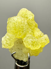 Load image into Gallery viewer, Vibrant Yellow Brucite Thumbnail Mineral Specimen | Collector Crystal from Killa Saifullah District in Balochistan Province, Pakistan
