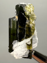Load image into Gallery viewer, Green Cap Stak Nala Tourmaline with Cleavelandite – Haramosh Mountains, Pakistan | Thumbnail Specimen
