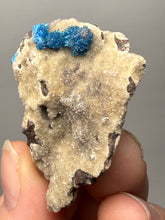 Load image into Gallery viewer, Rare Electric Blue Pentagonite on Druzy Matrix – Collector Mineral Specimen | India
