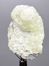 Load image into Gallery viewer, Vibrant Yellow Brucite Thumbnail Mineral Specimen | Collector Crystal from Killa Saifullah District in Balochistan Province, Pakistan
