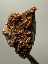 Load image into Gallery viewer, Vanadinite Crystal Specimen | Moroccan Mineral Collector Piece
