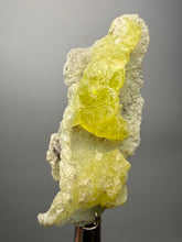 Load image into Gallery viewer, Vibrant Yellow Brucite Thumbnail Mineral Specimen | Collector Crystal from Killa Saifullah District in Balochistan Province, Pakistan
