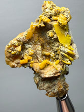 Load image into Gallery viewer, High-Grade Orange Wulfenite Collector Display Specimen | La Morita Mine, Chihuahua, Mexico
