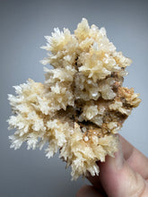 Load image into Gallery viewer, High-Grade Coral Aragonite Crystal Specimen – Wenshan Mine, Yunnan, China
