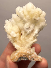 Load image into Gallery viewer, 2.8” High-Grade Flower Calcite Specimen | Wenshan Mine, Yunnan, China | Collector Mineral Display
